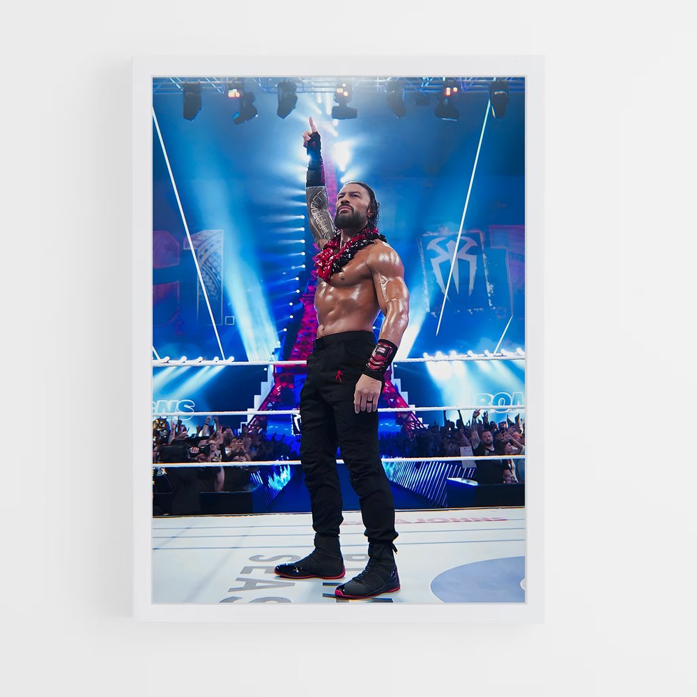 Poster High-Flyer Hardy (vue 3)